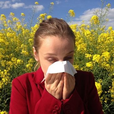 Pollenallergie: Allergien und Unverträglichkeiten – Tipps gegen Heuschnupfen!