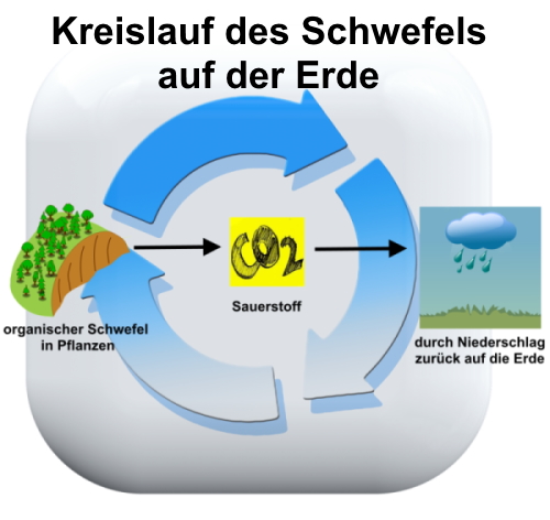 Schwefel - Pflanzenatmung - Schwefelkreislauf