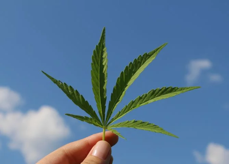 Cannabisprodukte – was du darüber garantiert noch nicht wusstest!